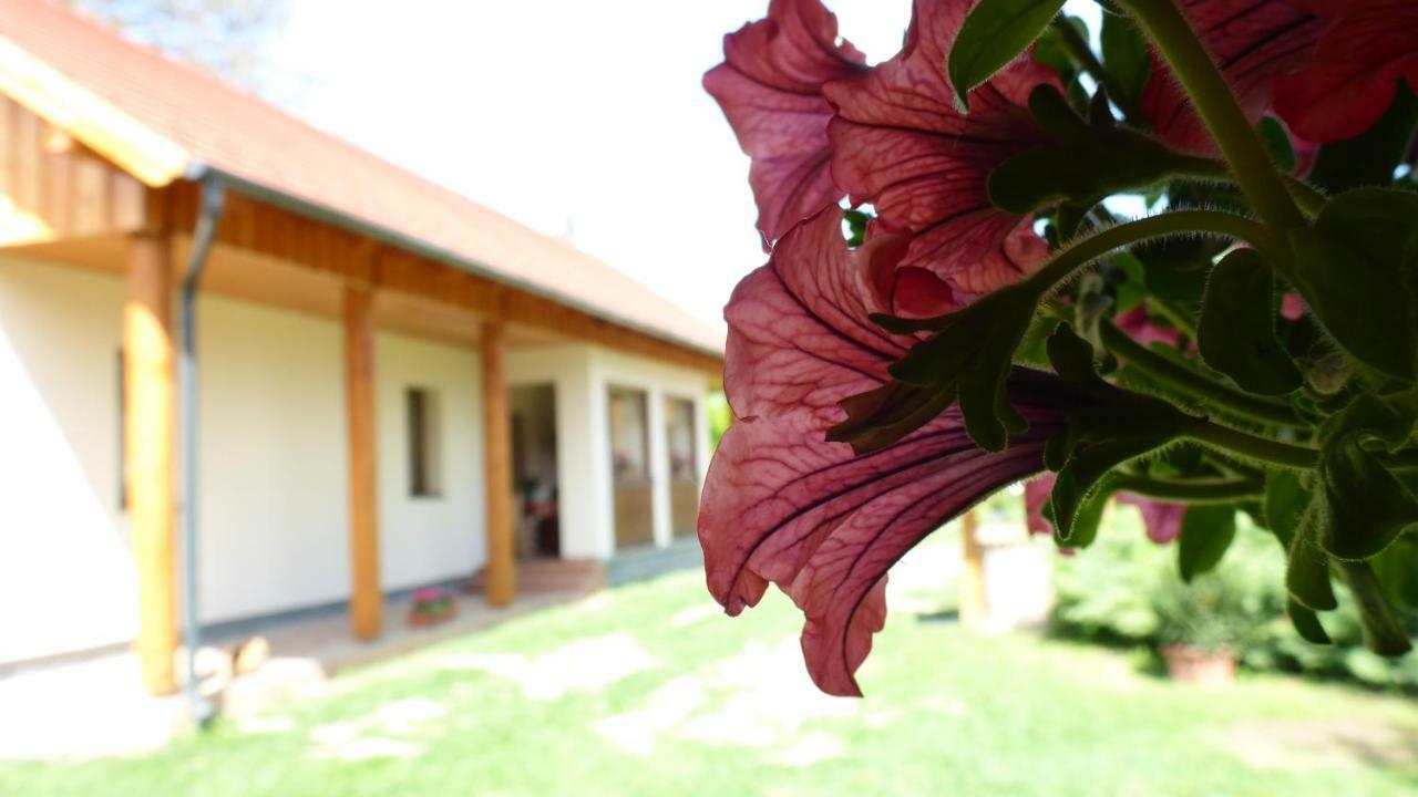 Zergeboglar Vendeghaz Villa Szilvásvárad Dış mekan fotoğraf